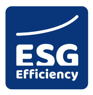 ESG Efficiency
